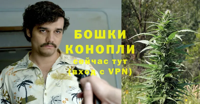 купить закладку  Бокситогорск  Шишки марихуана THC 21% 